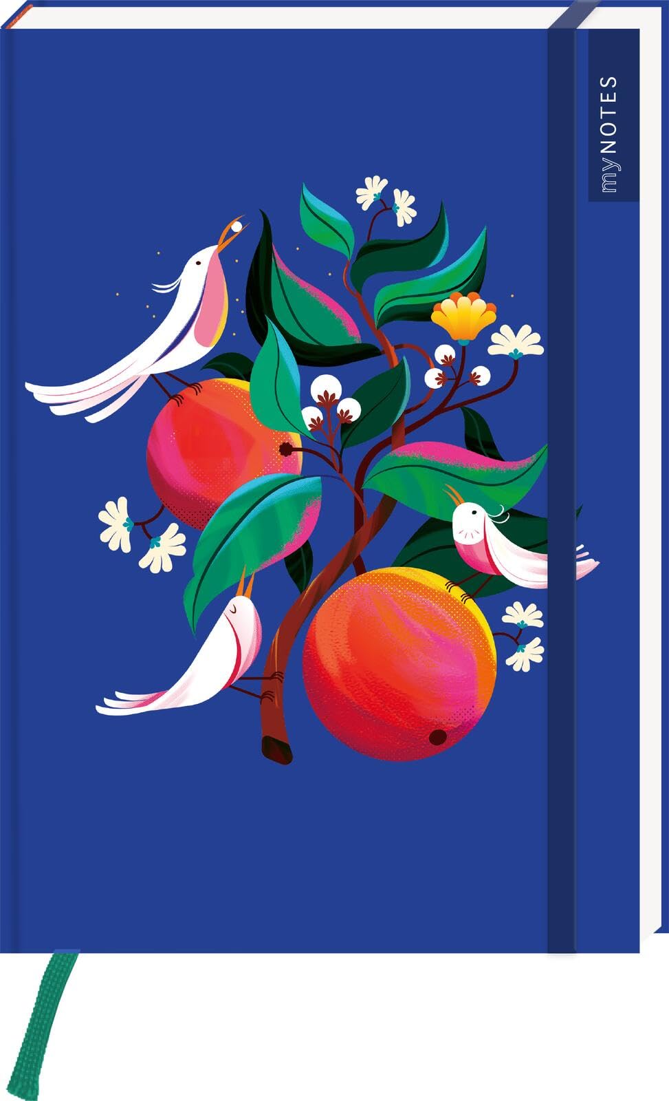 myNOTES Papeterie: Notizbuch A5 Farben des Sommers: Blankbook medium, gepunktet, für Notizen, Pläne, Ideen
