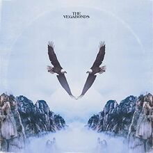 V (Standard Black Vinyl) [Vinyl LP]
