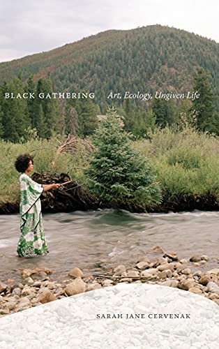 Black Gathering: Art, Ecology, Ungiven Life (Black Outdoors: Innovations in the Poetics of Study)