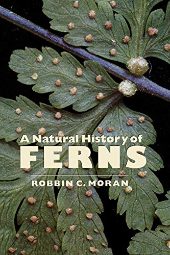 Moran, Robbin C. A Natural History Of Ferns, A Natural History Of Ferns