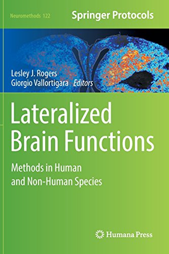 Lateralized Brain Functions: Methods in Human and Non-Human Species (Neuromethods, Band 122)