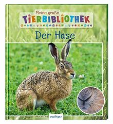 Der Hase (Meine große Tierbibliothek)