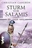 Der Lange Krieg: Sturm vor Salamis (Die Perserkriege, Band 5)