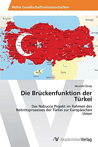 Die Brückenfunktion der Türkei: Das Nabucco Projekt im Rahmen des Beitrittsprozesses der Türkei zur Europäischen Union