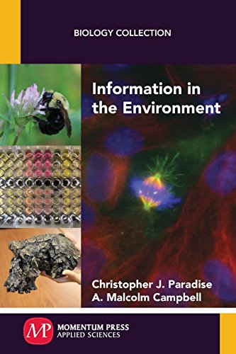 Information in the Environment