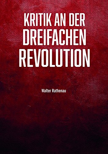 Kritik an der Novemberrevolution um 1918: Persönliche Einblicke aus politischer und gesellschaftlicher Sicht