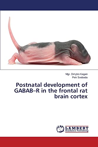 Postnatal development of GABAB–R in the frontal rat brain cortex
