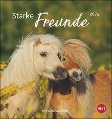 Pferde Postkartenkalender 2024: Starke Freunde