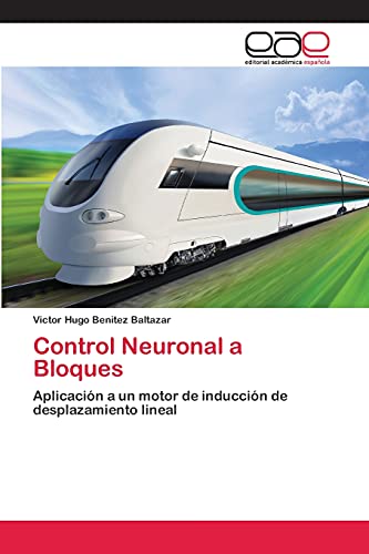 Control Neuronal a Bloques: Aplicación a un motor de inducción de desplazamiento lineal