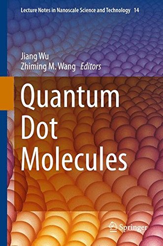 Quantum Dot Molecules (Lecture Notes in Nanoscale Science and Technology, Band 14)