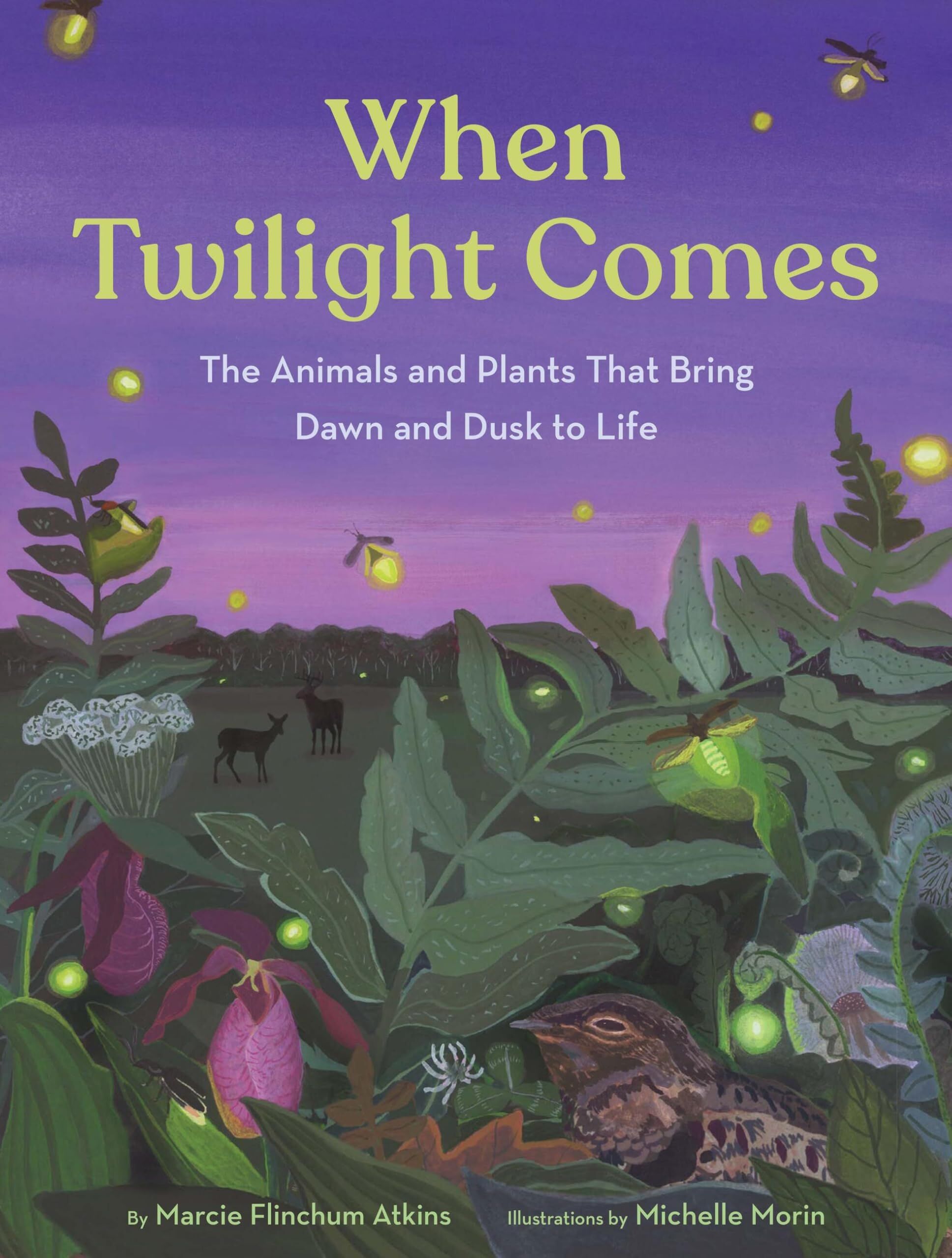 When Twilight Comes - Neuware