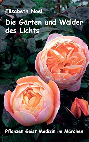 Die Gärten und Wälder des Lichts: Pflanzen Geist Medizin im Märchen