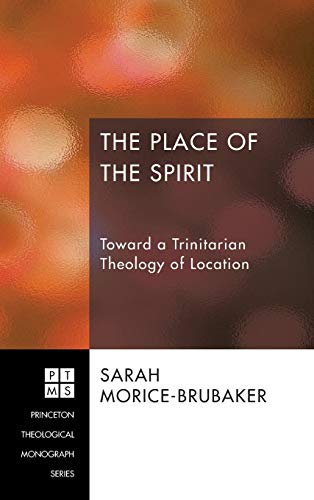 The Place of the Spirit: Toward a Trinitarian Theology of Location (Princeton Theological Monograph, Band 197)