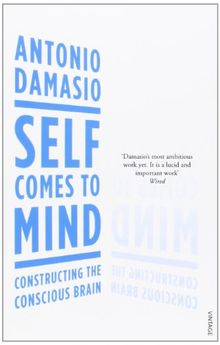 Self Comes to Mind: Constructing the Conscious Brain