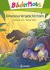 Bildermaus - Dinosauriergeschichten: Mit Bildern lesen lernen - Ideal für die Vorschule und Leseanfänger ab 5 Jahren - Mit Leselernschrift ABeZeh