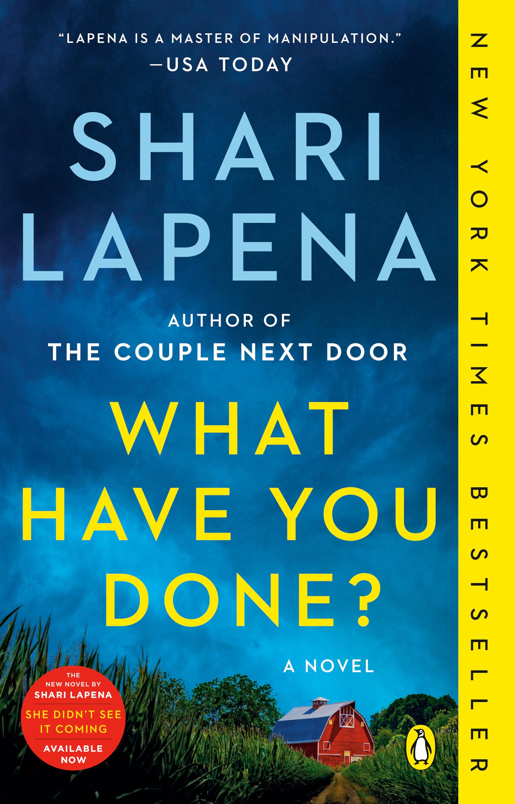 Lapena, Shari: What Have You Done?