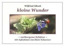 Kloine Wunder: Verborgene Schätze von Wilfried Albeck | Buch | Zustand gut