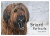 Briard Portraits (Tischkalender 2024 DIN A5 quer), CALVENDO Monatskalender