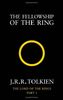 Lord of the Rings 1. The Fellowship of the Rings: Fellowship of the Ring Vol 1 (The Lord of the Rings)
