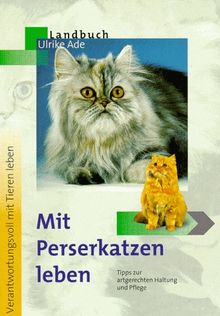 Mit Perserkatzen leben