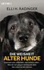 Die Weisheit alter Hunde: Gelassen sein, erkennen, was wirklich zählt – Was wir von grauen Schnauzen über das Leben lernen können
