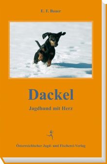 Dackel: Jagdhund mit Herz