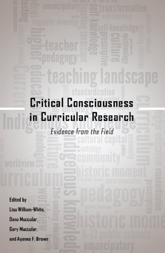 Critical Consciousness in Curricular Research: Evidence from the Field (Critical Qualitative Research)