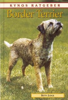 Border Terrier