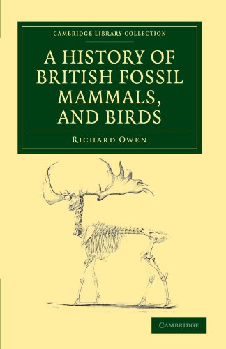 A History Of British Fossil Mammals, And Birds (Cambridge Library Collection - Earth Science)