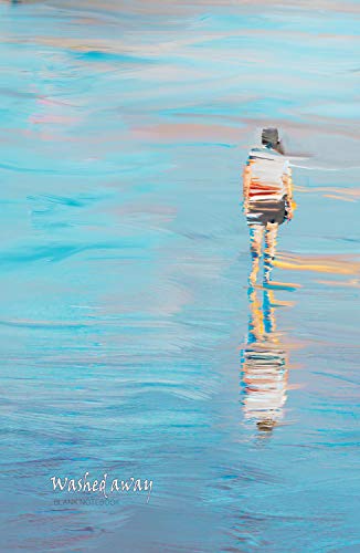 Washed away: Blank Notebook (Blinkies, Band 37)