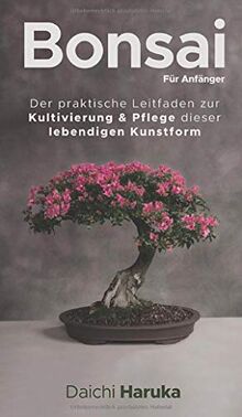 Bonsai für Anfänger: Der praktische Leitfaden zur Kultivierung & Pflege dieser lebendigen Kunstform