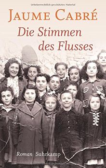 Die Stimmen des Flusses: Roman. Geschenkausgabe (suhrkamp taschenbuch)