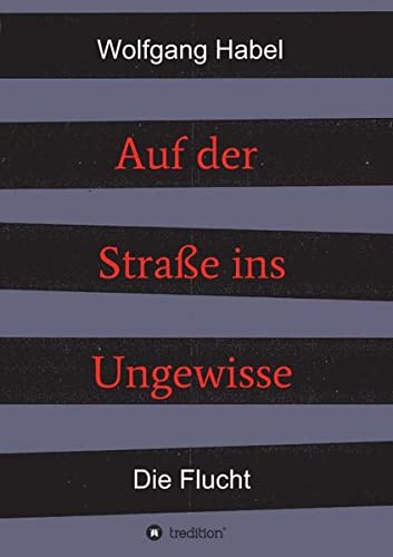 Auf der Straße ins Ungewisse: Die Flucht (2 Bände: Auf der Straße ins Ungewisse)