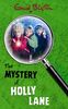 Mystery of Holly Lane (Mysteries)