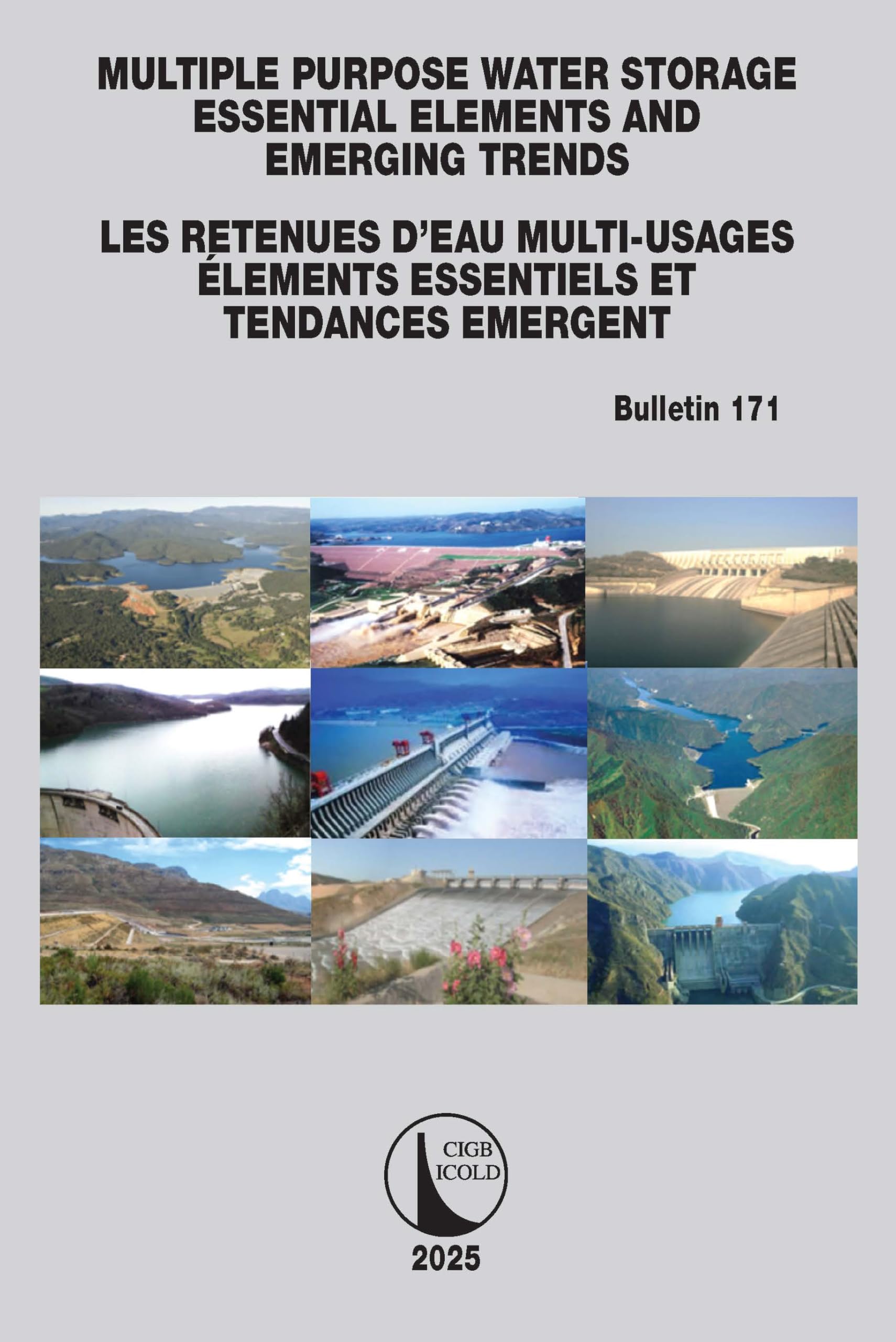 Multipurpose Water Storage Essential Elements and Emerging Trends / Les Retenues d'Eau Multi-Usages Élements Essentiels et Tendances Émergentes: ICOLD Bulletin 171 (Icold Bulletins)