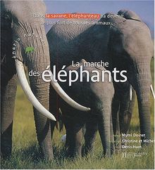 La marche des éléphants : dans la savane, l'éléphanteau va devenir le plus fort de tout les animaux...