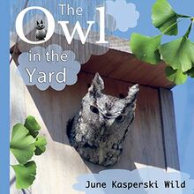 The Owl in the Yard