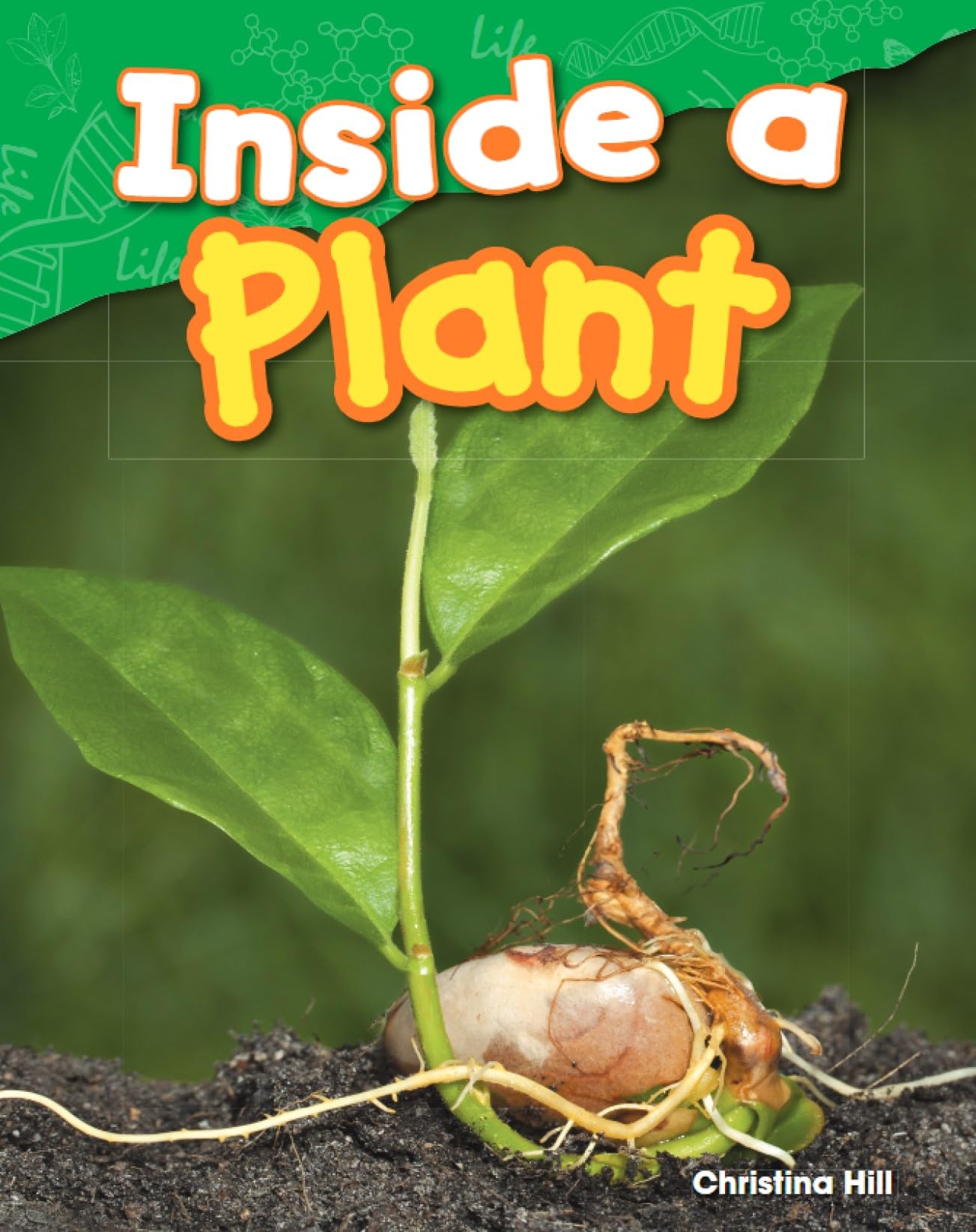 Inside a Plant (Life Science)