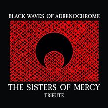 The Sisters of Mercy Tribute