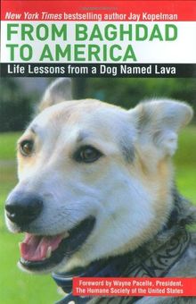 From Baghdad to America: Life Lessons from a Dog Named Lava