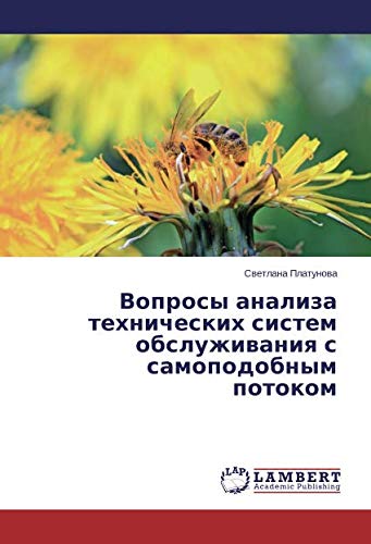 Вопросы анализа технических систем обслуживания с самоподобным потоком
