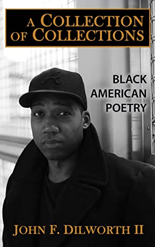 A Collection of Collections: Black American Poetry
