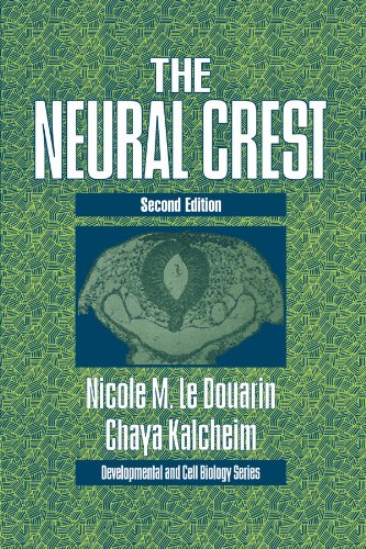The Neural Crest (Developmental and Cell Biology Series, Band 36)