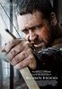 Robin Hood (2010) (Blu-Ray) (Import) (Keine Deutsche Sprache) (2010) Lea Seydoux; Mark Strong; Alan D
