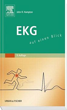 Ekg: Auf Einen Blick