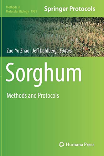 Sorghum: Methods and Protocols (Methods in Molecular Biology, Band 1931)