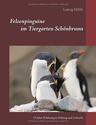 Felsenpinguine im Tiergarten Schönbrunn: 35 Jahre Erfahrung in Haltung und Aufzucht
