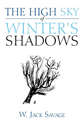 The High Sky of Winter's Shadows