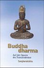 Buddhadharma - Einheit und Vielfalt des Buddhismus: Buddhadharma, Bd.1, Auf den Spuren des Transzendenten