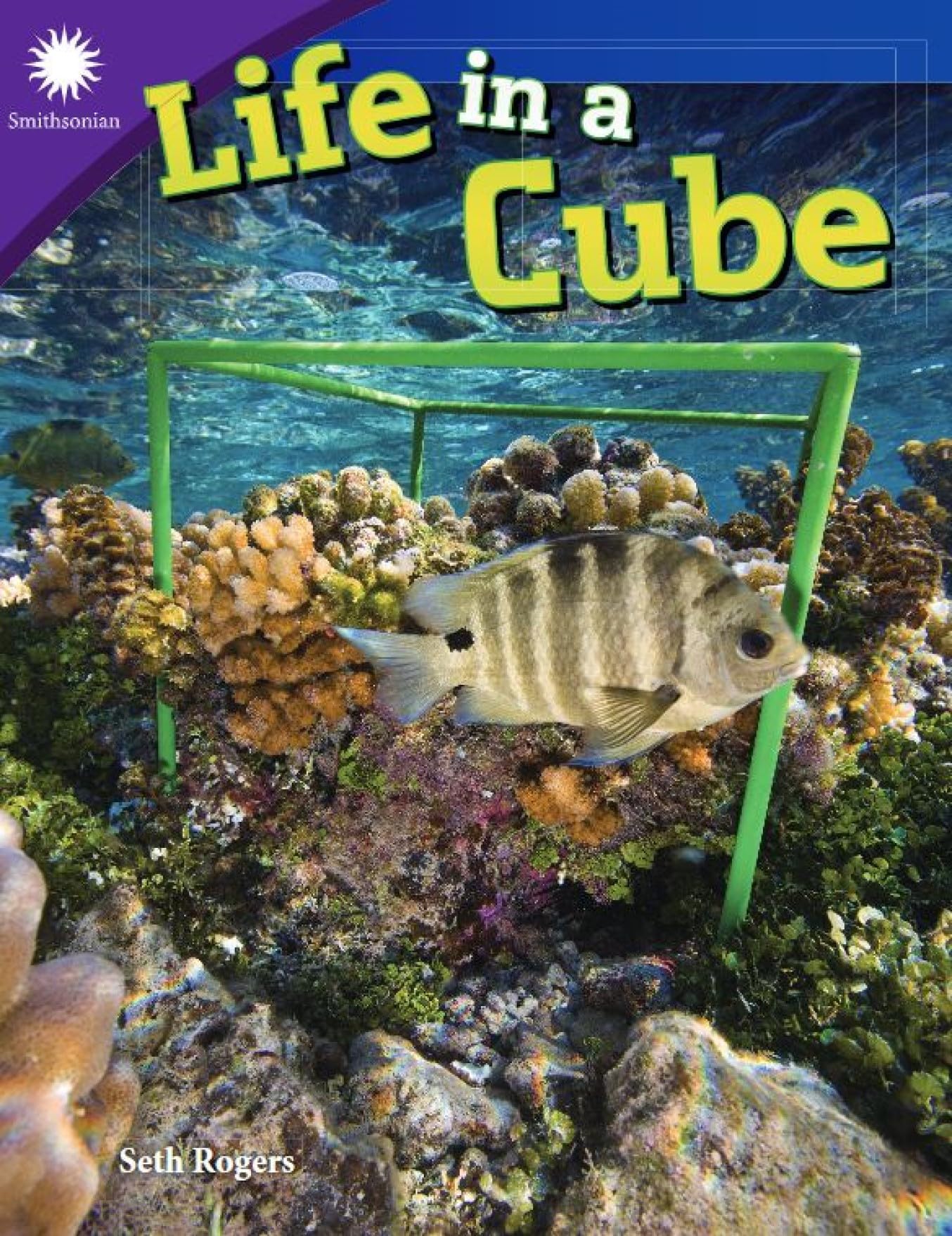 Life in a Cube (Smithsonian Steam Readers)